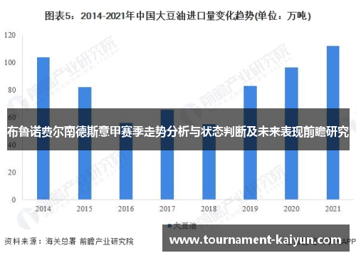 布鲁诺费尔南德斯意甲赛季走势分析与状态判断及未来表现前瞻研究