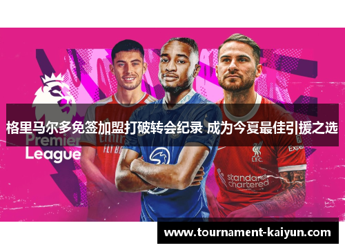 格里马尔多免签加盟打破转会纪录 成为今夏最佳引援之选 格里马尔多免签加盟打破转会纪录 成为今夏最佳引援之选