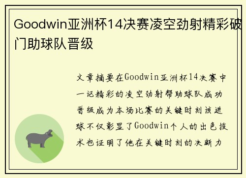 Goodwin亚洲杯14决赛凌空劲射精彩破门助球队晋级